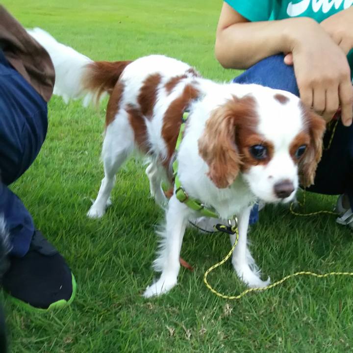 34056f76 8ddd 4eb3 b0c8 53c65fb7e4bb