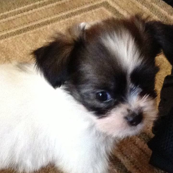 34058961 cb39 4eab 81d1 7938d00ab3f8