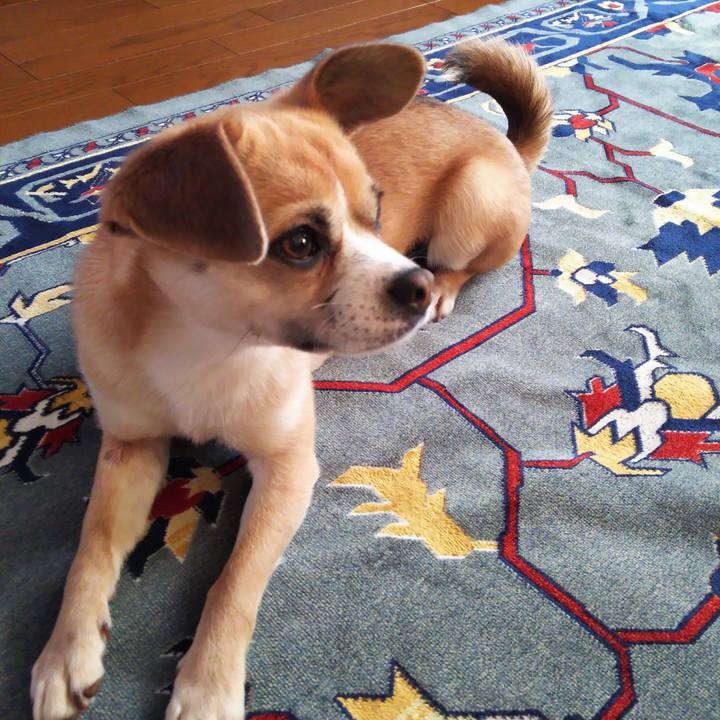 340641cc 5f5c 4ba4 9696 401f1b290e76