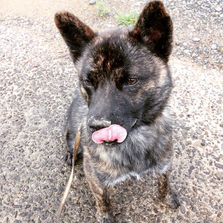 34064825 c244 44ad 832e bd1beb7fa22d