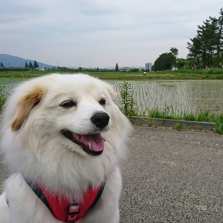 34064a3d 59f0 410d bb29 f8e82d59acfe