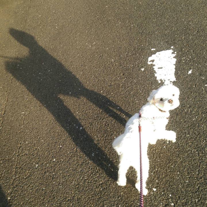 34079784 0a97 4cc6 9dd5 a3d535b504b1