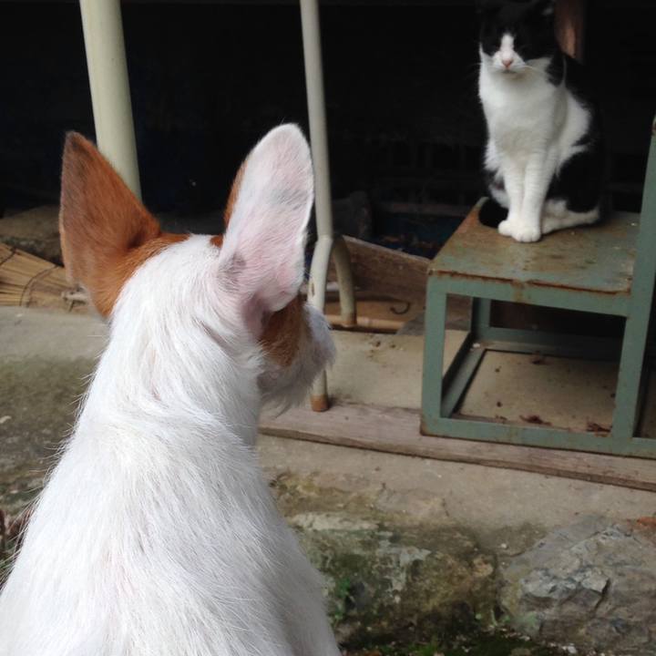 3407ad6a 9fef 4b22 8837 8a4ae1c6e287