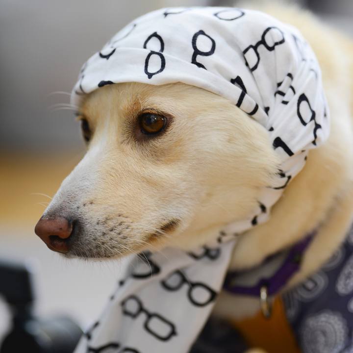 3408dbe3 e347 449c a1e2 7876b8f27ece