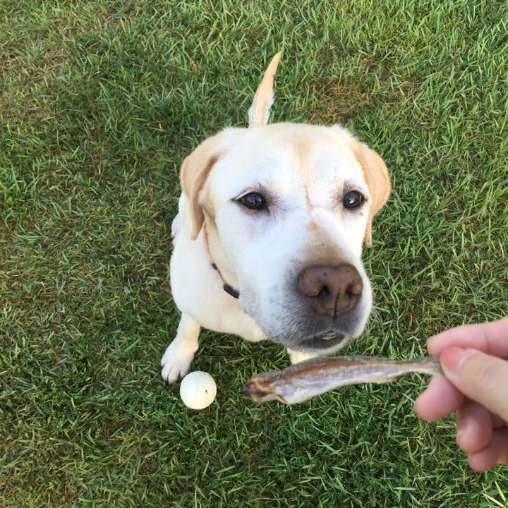 3409ce8f 73e2 410b 8672 ce4b15b3882e