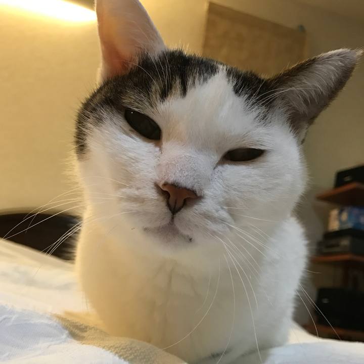 340a113f e885 44e8 9830 0d24482aaaec