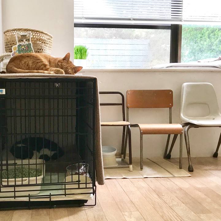 340a21ec af64 471f b692 82a0595e7db6