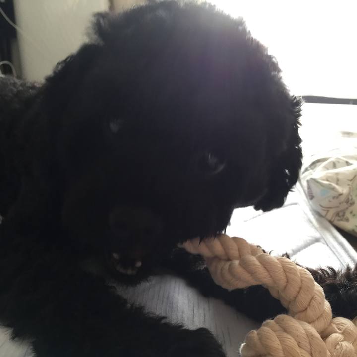 340a933a aa08 46c3 bb84 b194c22d9e8a