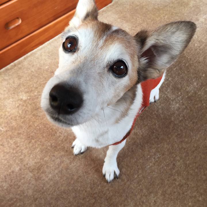 340ae3b8 642e 405b b772 d03c1ed25aa6