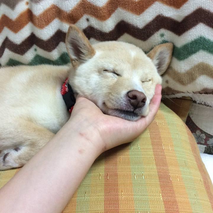 340af23e 89c3 4ba1 b49a 7291d2220d0c