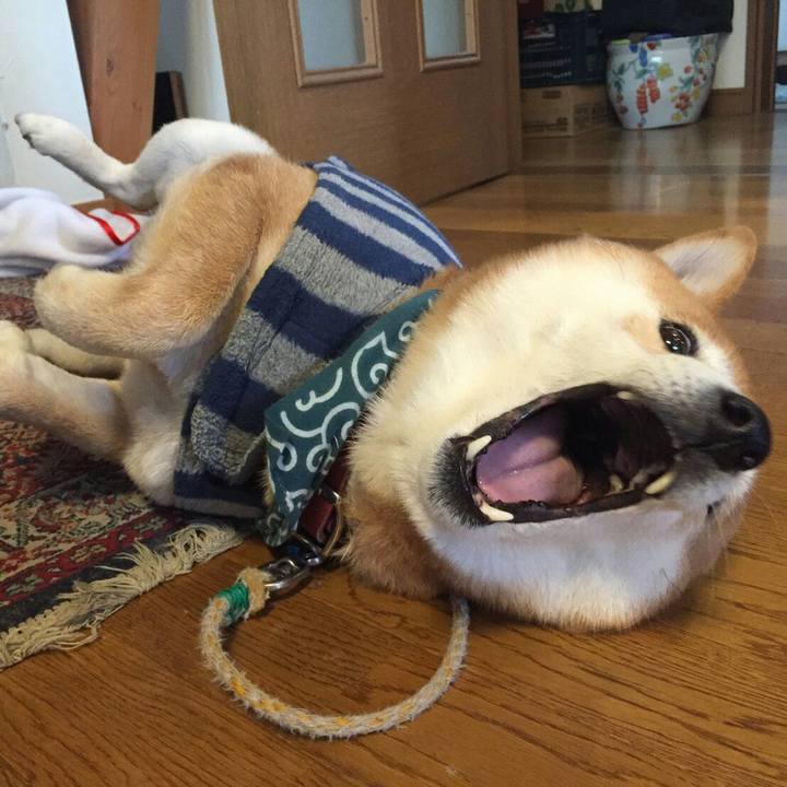 340b0461 41cb 402d 98b9 7ae854656b92