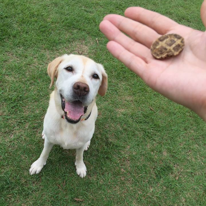 340b3d79 92d7 4e63 a844 0f58c047df40