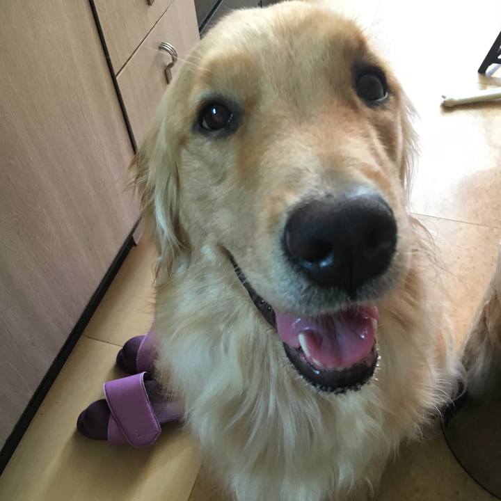 340bf554 04c7 4d3b be33 c1acb7f0c927