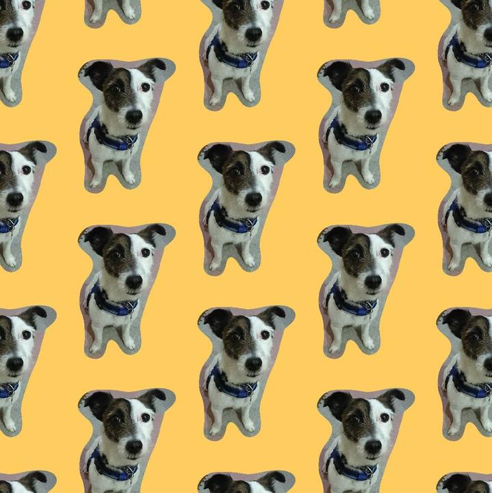 340c47b3 684e 4a12 9e8e 427229d98ff1