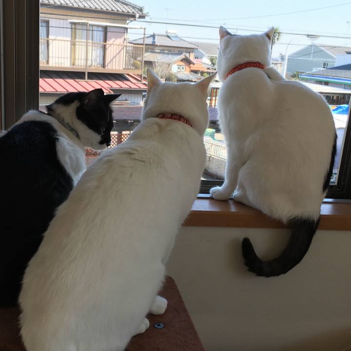 340c4f5e 3304 4d5f 8931 4926f7c6189a