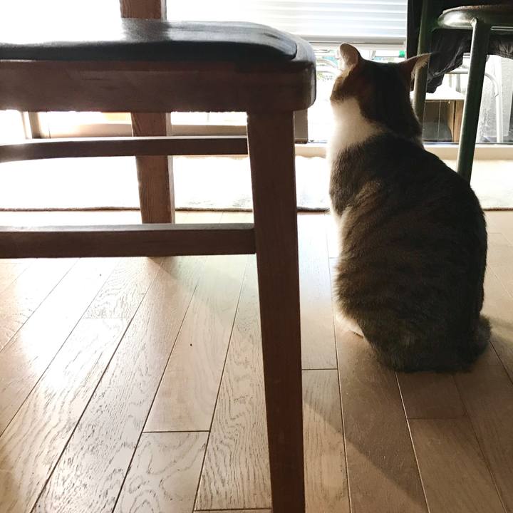 340c9066 b0c6 4618 aedd 25638658f166