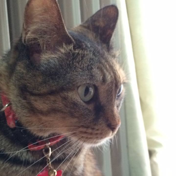 340da9b3 ed1f 4dd0 84d9 e74366ec1797