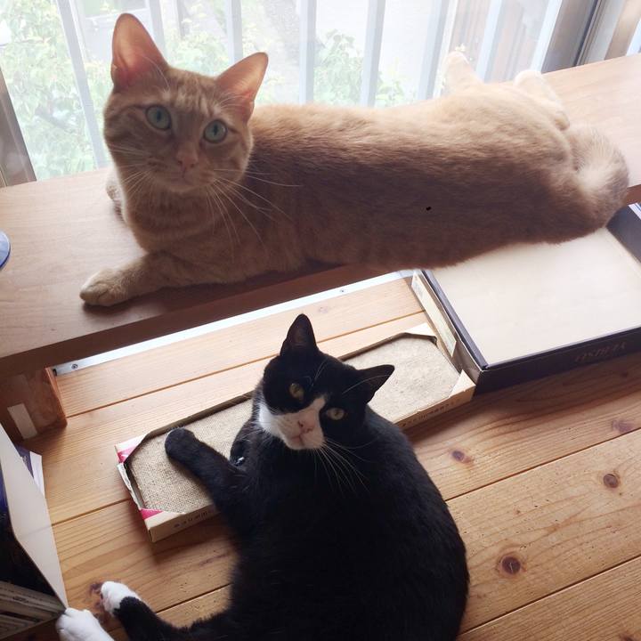 340e054d f7bd 4732 a5d5 820c4abb2594