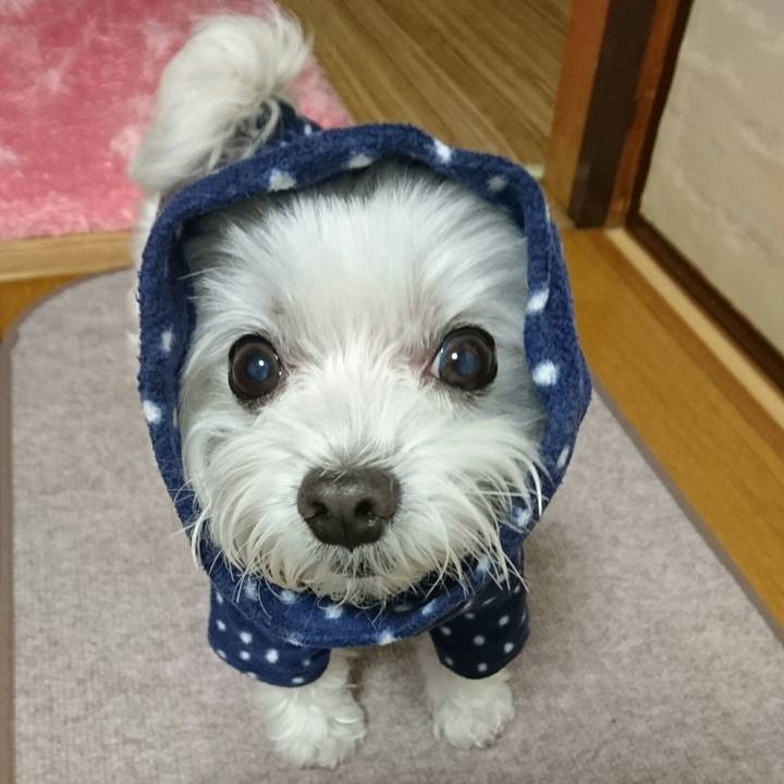 340e588e cc1e 463e bbf0 8015c55944e6