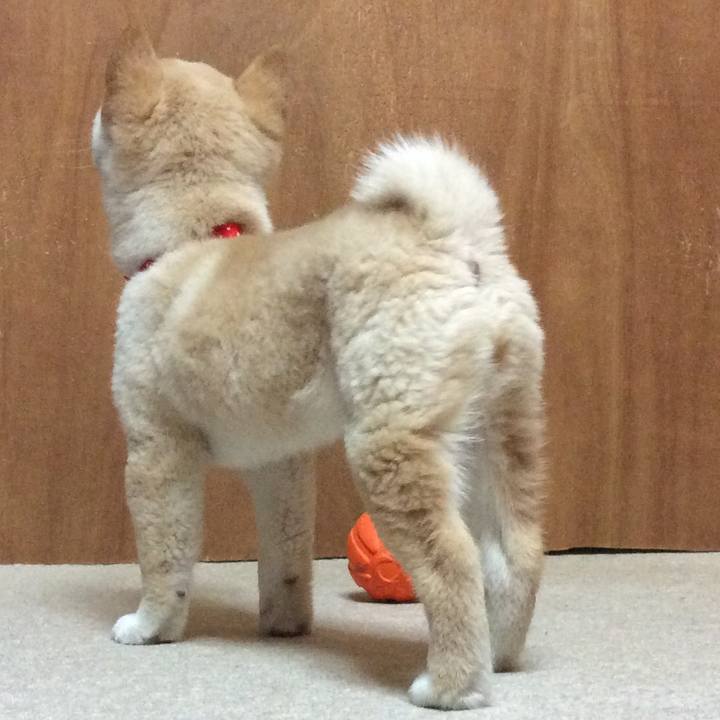 340f65e2 db6f 4d1c b61b 0c1e10c9d1b7