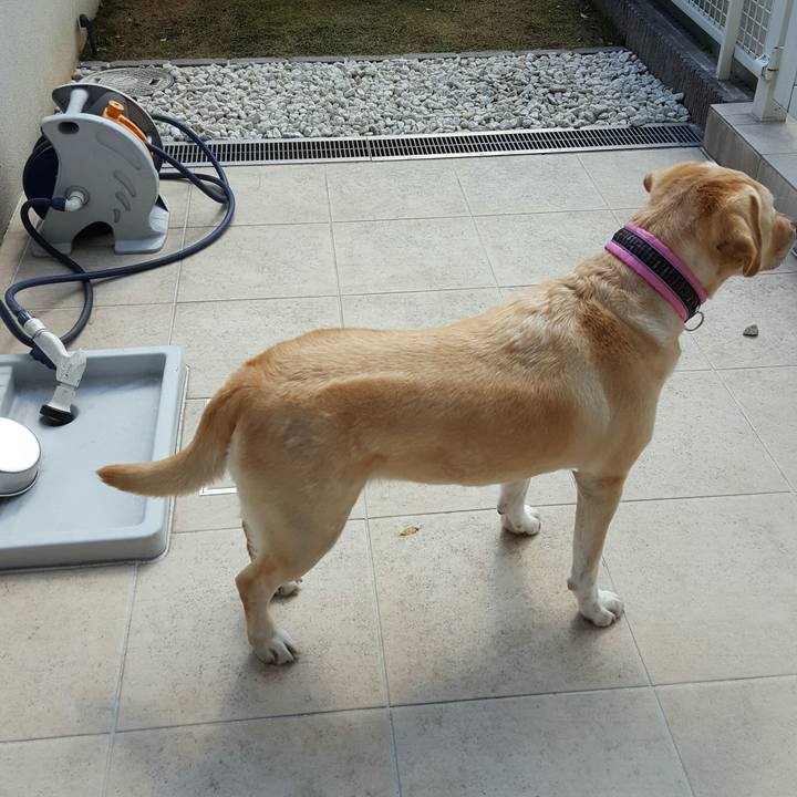 340f8259 ff95 44bf 9bc4 7073bf4629b6