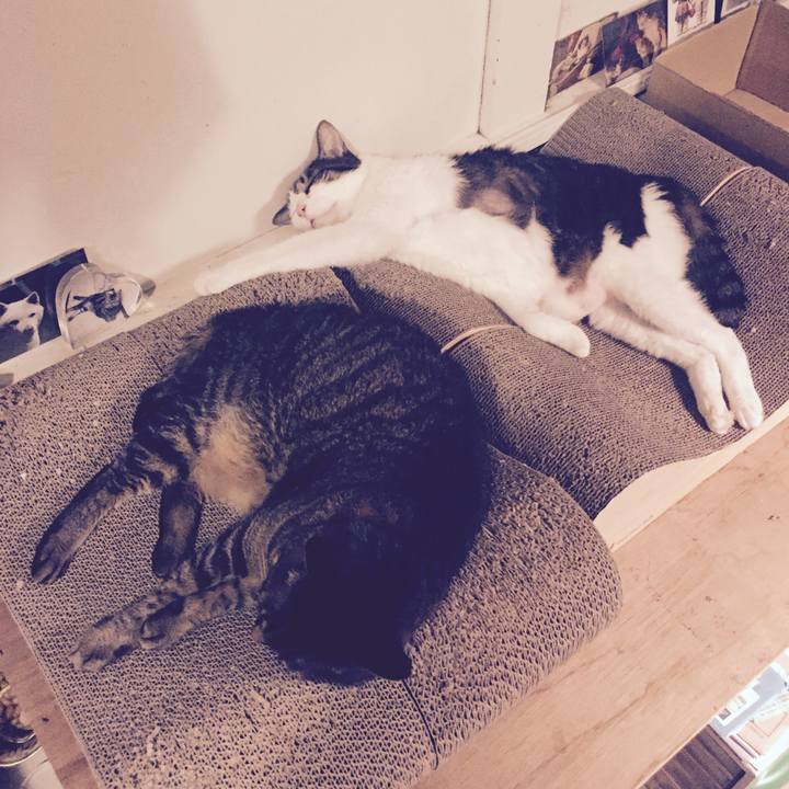 340f96eb dcc8 4095 a22e de61a9249141