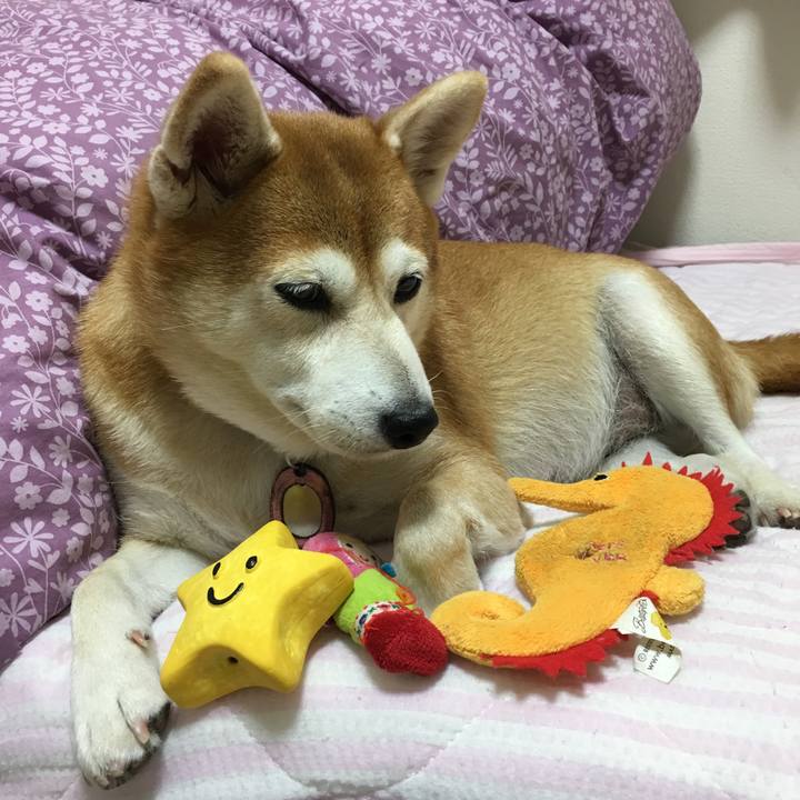 340f9740 48fb 49e1 9eec b2730c7dec18