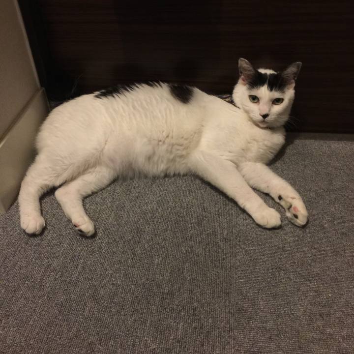 340fc232 719d 40b7 9681 d6a2794366f6