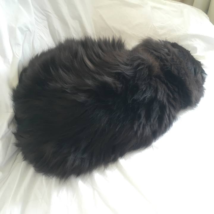 340fc650 fcdf 464a 8463 02c10da160d4