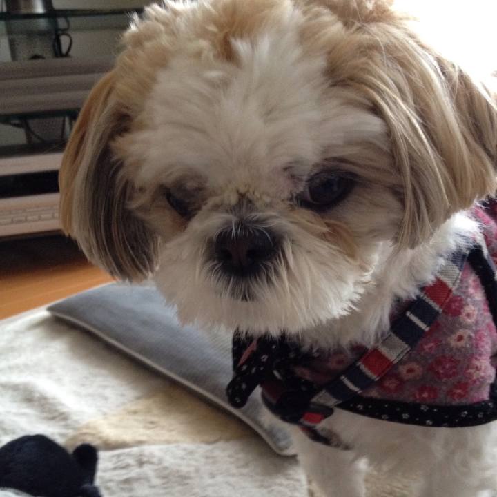 340fde3b a911 477b af95 5d1484a3493b