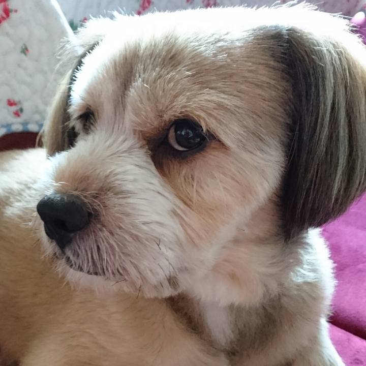 34102183 fd32 48e5 9f7e 7feb4ade052c