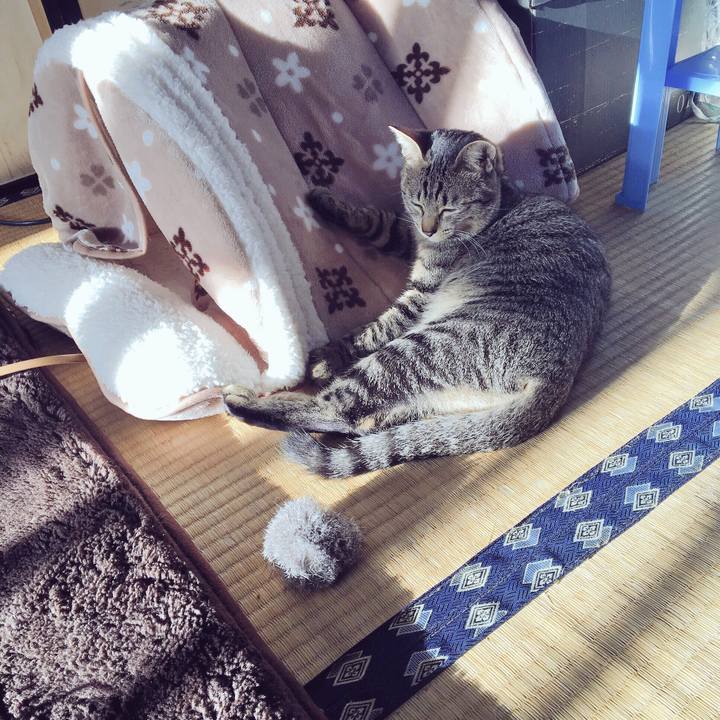 34103024 16b0 4447 935b 9d4e3cabedbe