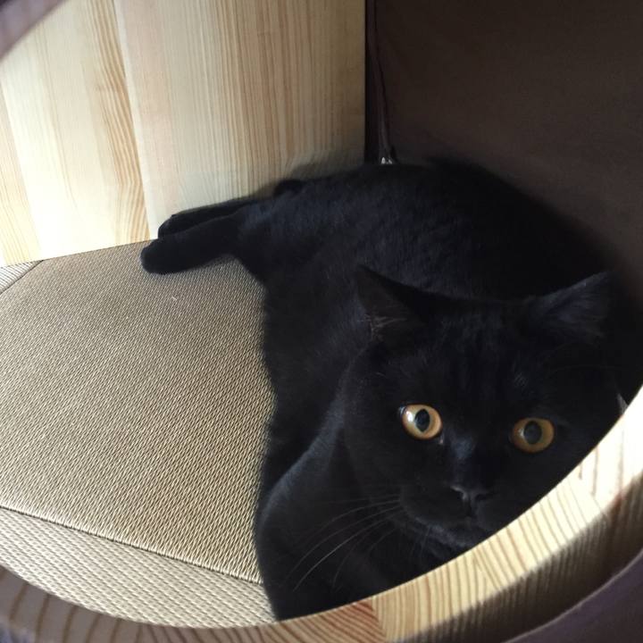 3410fac5 3a3d 4cfd a4d1 4ab1e53e3f33