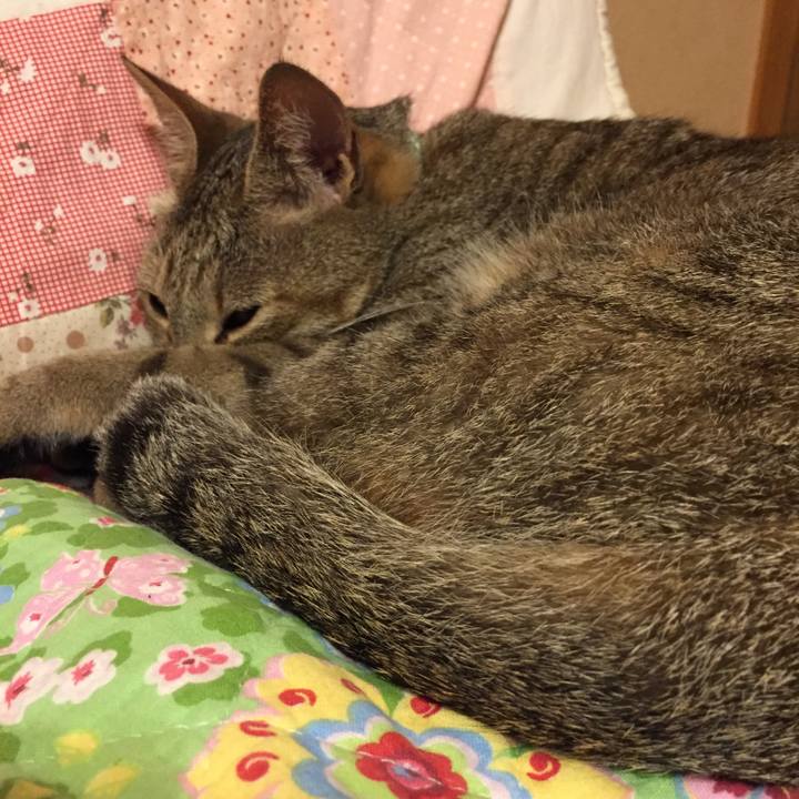 341101e0 1f90 4de7 bfff f21ee6e013fd