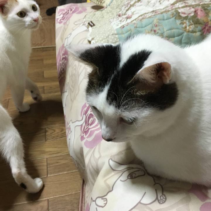 34116049 830f 4097 8645 dc641a4a1b4c