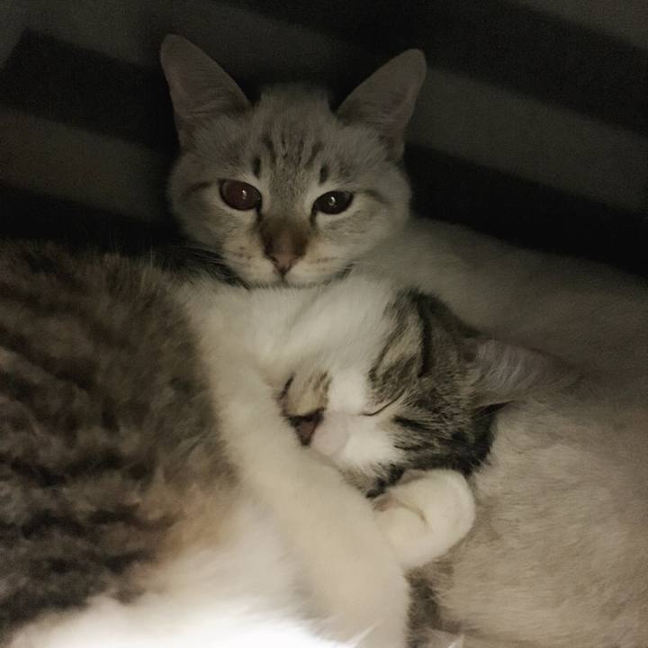 34116326 5212 4374 ac35 c58a1dbf6c13