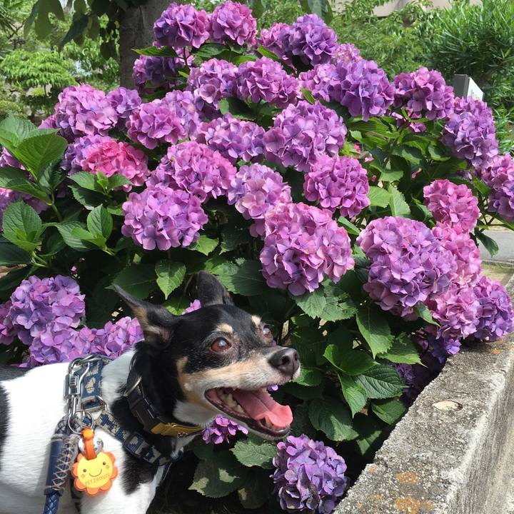 3411ba66 4224 4980 878e 40d09db7ad56