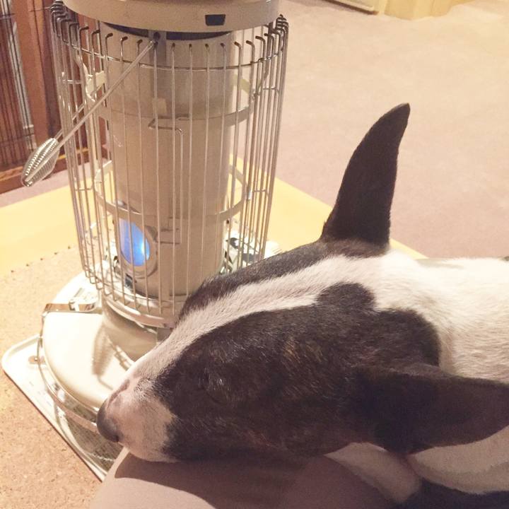 34121cbb 46b1 480a a53c 49b78054d750