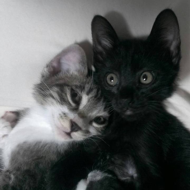 3412d3db 2f10 4751 a884 8298517a0b78