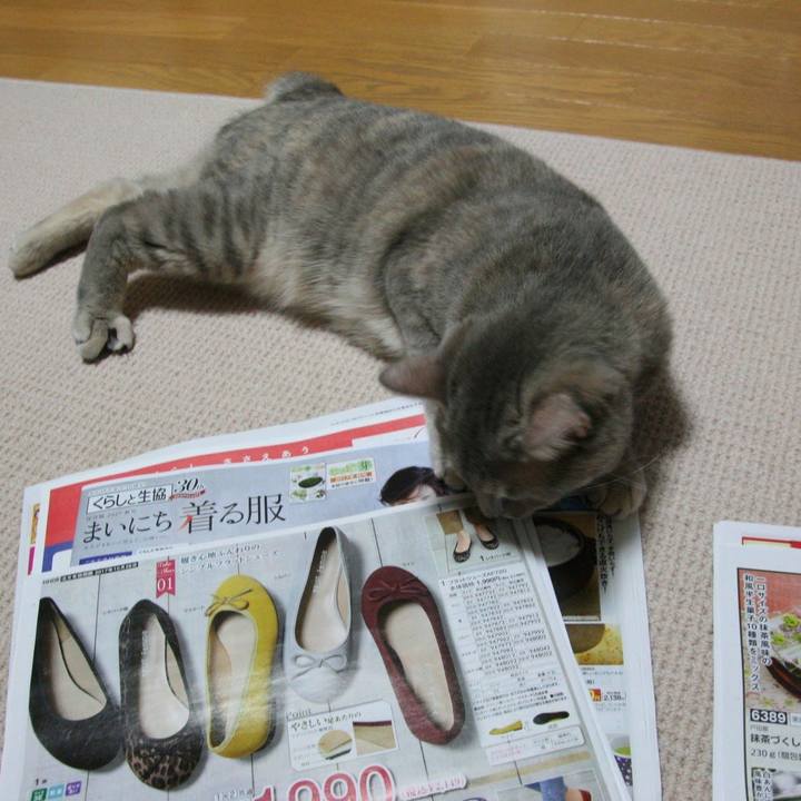 3412eb3b f1bc 441e a72a 7a1ea69fd64d