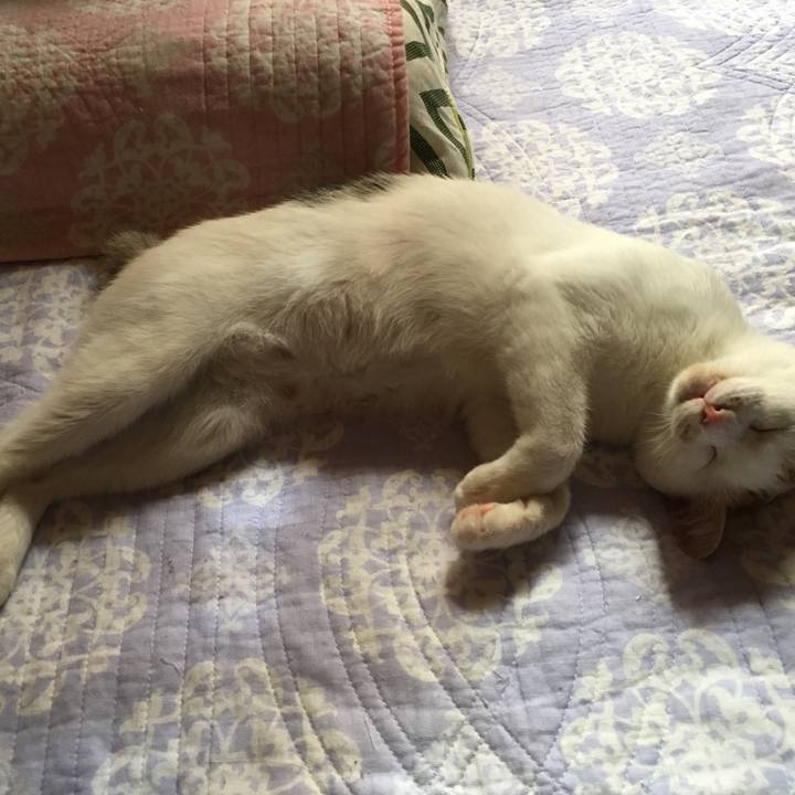 341311c1 573e 4dc5 b900 d523cf0873ed