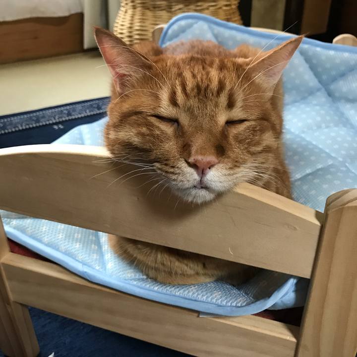 34132e64 04c2 4535 8e63 2d0ba8be581d