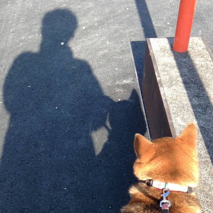 3413464e 08f6 47f9 a9f5 e39b96d50d0d