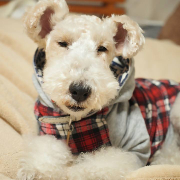 34135039 fe38 42ad 9d54 a2c32b1bcd20