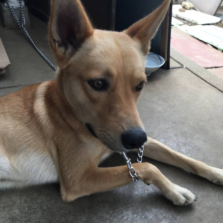 341436fa 0c18 42ec 8993 1330525fb266