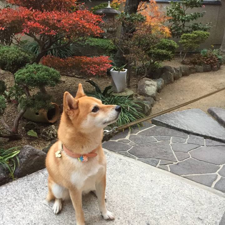 34158b88 8707 4bb1 9fba a3187e67d1ad