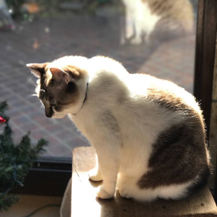 3415b9f2 d5e5 4137 bf1c b7ae96bf1e64