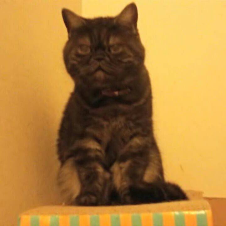 34162c5b d5c2 4a24 bc64 2769f384467e