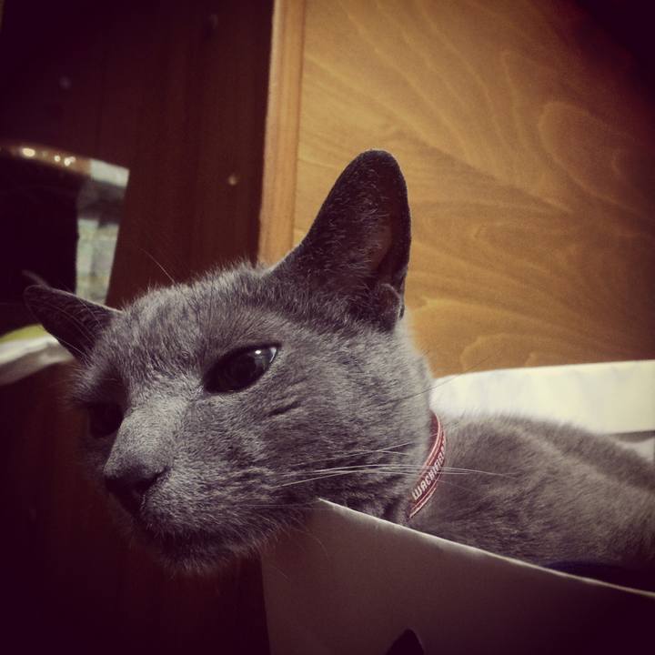 341654c9 9a20 4f14 b61d 7ea50722f0a3