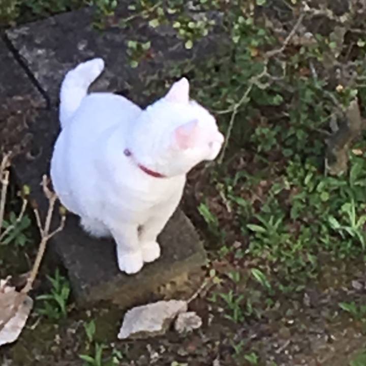 34169d4b cada 4253 8eee c47baa433562